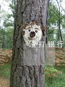 渣打银行信用卡没逾期冻结 渣打银行信用卡没逾期冻结