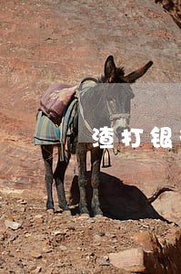 渣打银行信用卡逾期多久上征信 渣打银行信用卡逾期多久上征信