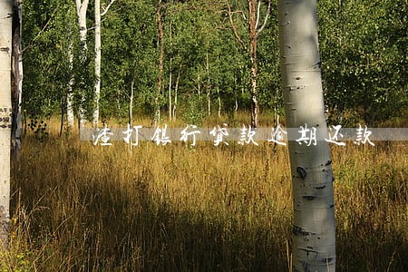 渣打银行贷款逾期还款 渣打银行贷款逾期还款