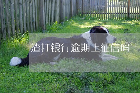 渣打银行逾期上征信吗 渣打银行逾期上征信吗