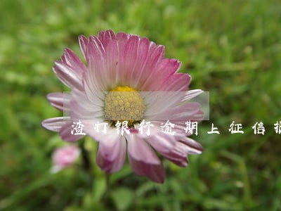 渣打银行逾期上征信报告吗 渣打银行逾期上征信报告吗