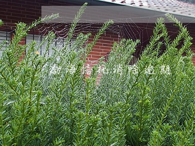渤海信托消除逾期 渤海信托消除逾期