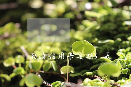 渤海信用卡逾期5天 渤海信用卡逾期5天