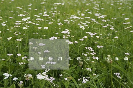 渤海信用卡逾期不给协商 渤海信用卡逾期不给协商