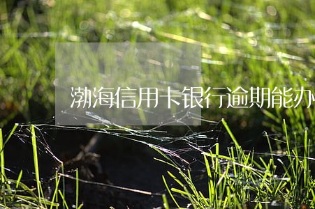 渤海信用卡银行逾期能办吗 渤海信用卡银行逾期能办吗