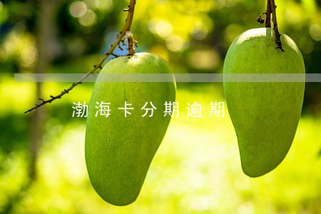 渤海卡分期逾期 渤海卡分期逾期