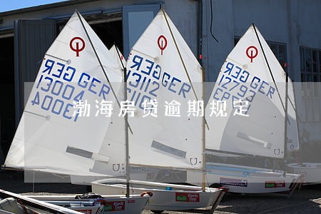 渤海房贷逾期规定 渤海房贷逾期规定