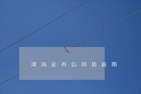 渤海证券信用债逾期 渤海证券信用债逾期