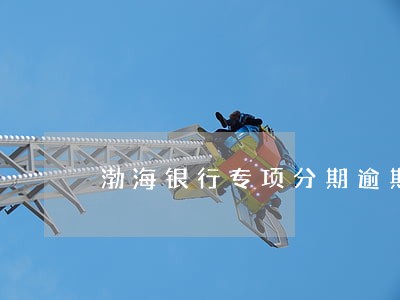 渤海银行专项分期逾期 渤海银行专项分期逾期