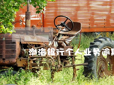渤海银行个人业务逾期 渤海银行个人业务逾期