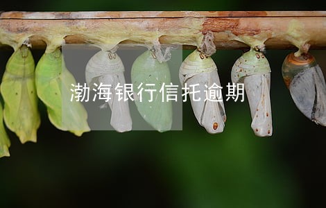渤海银行信托逾期 渤海银行信托逾期