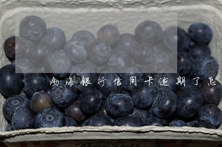 渤海银行信用卡逾期了怎么办 渤海银行信用卡逾期了怎么办