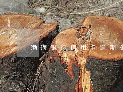 渤海银行信用卡逾期多久会上门
