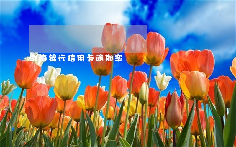 渤海银行信用卡逾期率