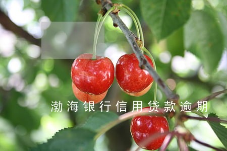 渤海银行信用贷款逾期 渤海银行信用贷款逾期