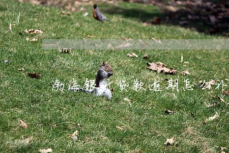 渤海银行贷款逾期怎么补 渤海银行贷款逾期怎么补