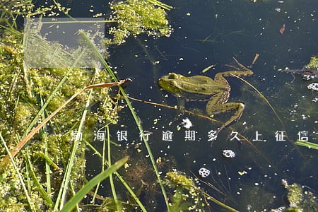 渤海银行逾期多久上征信 渤海银行逾期多久上征信