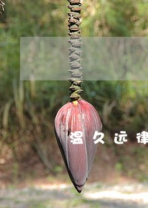 温久远律师 温久远律师