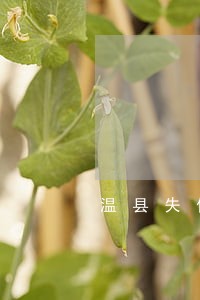 温县失信和逾期名单 温县失信和逾期名单