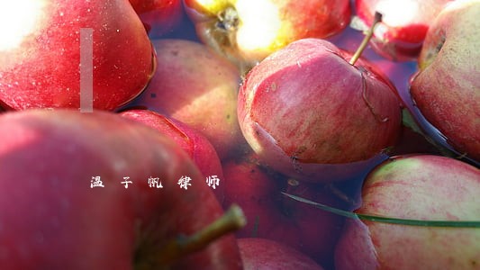 温子帆律师 温子帆律师