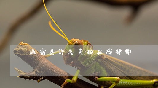 温宿县海关商检在线律师 温宿县海关商检在线律师