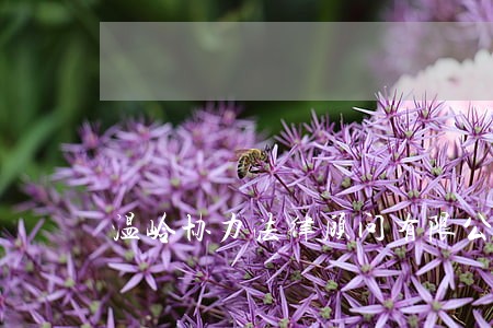 温岭协力法律顾问有限公司 温岭协力法律顾问有限公司