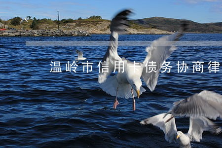 温岭市信用卡债务协商律师咨询 温岭市信用卡债务协商律师咨询