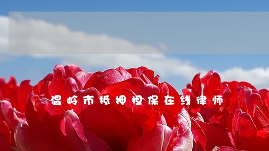 温岭市抵押担保在线律师 温岭市抵押担保在线律师