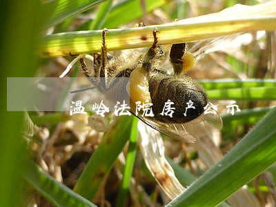 温岭法院房产公示 温岭法院房产公示