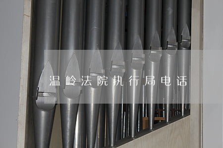 温岭法院执行局电话 温岭法院执行局电话
