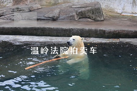 温岭法院拍卖车 温岭法院拍卖车