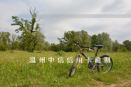 温州中信信用卡逾期