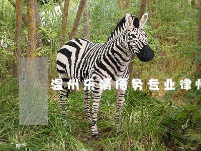 温州乐清债务专业律师排名 温州乐清债务专业律师排名