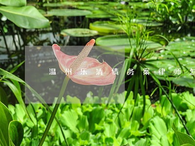 温州乐清债务案律师怎么收费 温州乐清债务案律师怎么收费