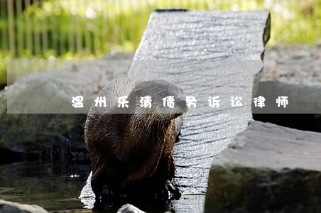 温州乐清债务诉讼律师 温州乐清债务诉讼律师