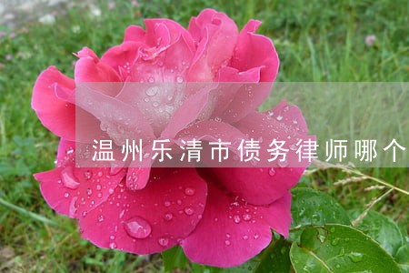 温州乐清市债务律师哪个好 温州乐清市债务律师哪个好