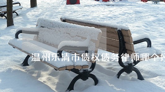 温州乐清市债权债务律师哪个好 温州乐清市债权债务律师哪个好