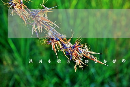 温州乐清市债权债务律师费用