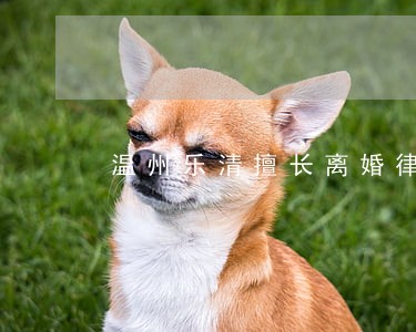 温州乐清擅长离婚律师