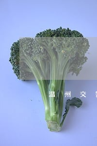温州交警违法举报有奖励 温州交警违法举报有奖励