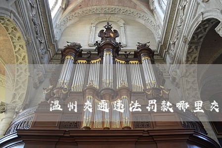 温州交通违法罚款哪里交 温州交通违法罚款哪里交