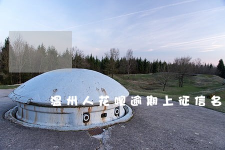 温州人花呗逾期上征信名单 温州人花呗逾期上征信名单