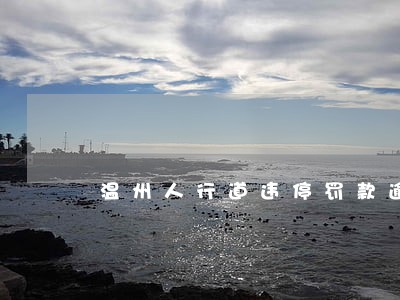 温州人行道违停罚款逾期一个月 温州人行道违停罚款逾期一个月