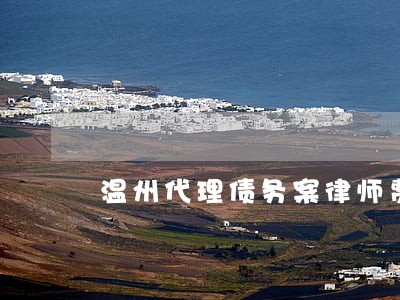 温州代理债务案律师费用 温州代理债务案律师费用