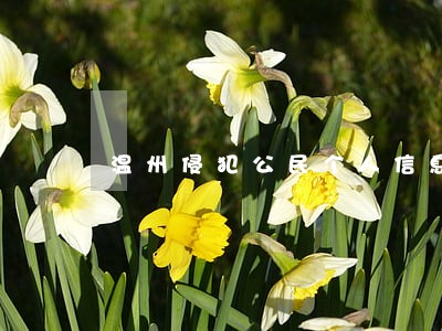 温州侵犯公民个人信息罪律师 温州侵犯公民个人信息罪律师