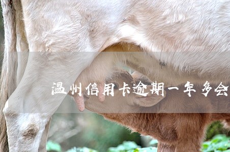 温州信用卡逾期一年多会怎么样 温州信用卡逾期一年多会怎么样