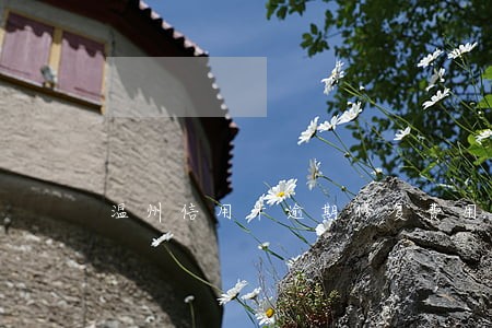 温州信用卡逾期修复费用 温州信用卡逾期修复费用