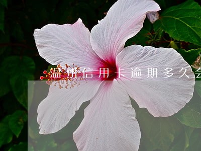 温州信用卡逾期多久会上征信 温州信用卡逾期多久会上征信