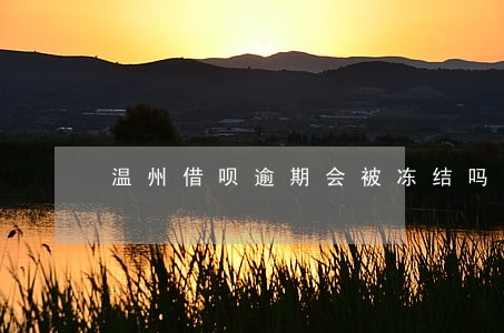 温州借呗逾期会被冻结吗 温州借呗逾期会被冻结吗