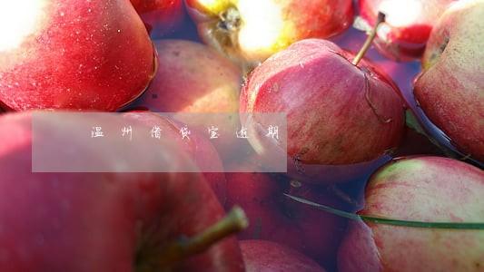 温州借贷宝逾期 温州借贷宝逾期